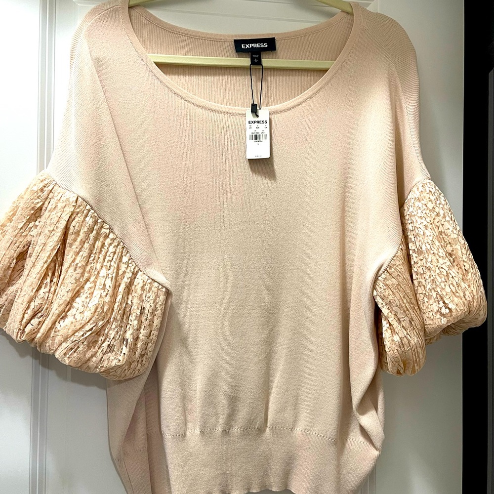 Express sophisticated blush pink top. New never worn!